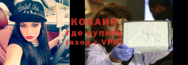 твердый Алексин