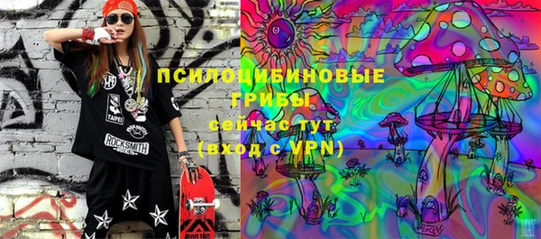 твердый Алексин