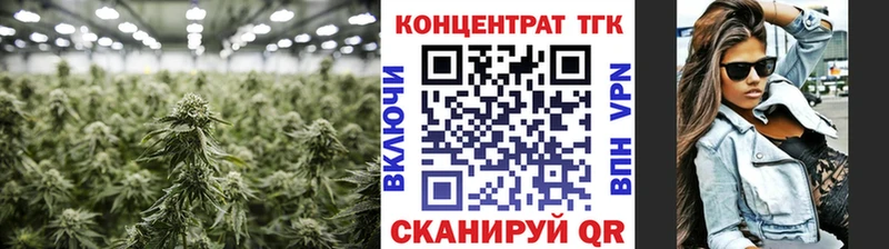 Дистиллят ТГК THC oil  как найти   Жуковский 