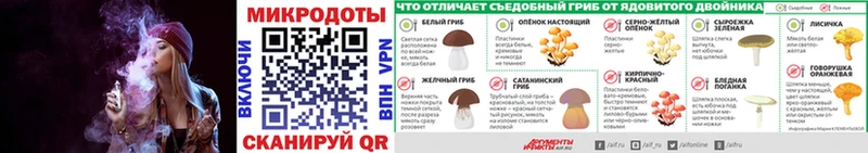 где продают наркотики  Жуковский  kraken ссылки  Псилоцибиновые грибы GOLDEN TEACHER 