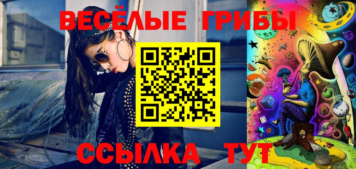 Псилоцибиновые грибы Cubensis Жуковский