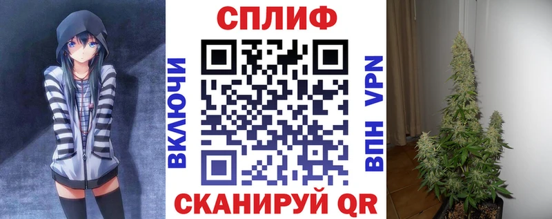наркота  Жуковский  Канабис конопля 
